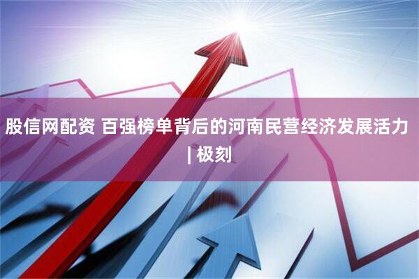 股信网配资 百强榜单背后的河南民营经济发展活力 | 极刻