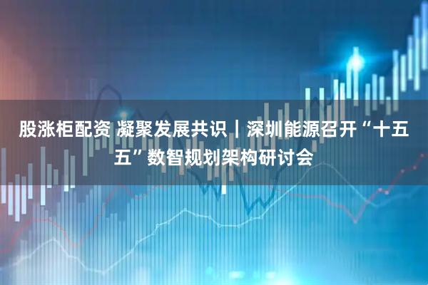 股涨柜配资 凝聚发展共识｜深圳能源召开“十五五”数智规划架构研讨会
