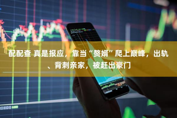 配配查 真是报应，靠当“赘婿”爬上巅峰，出轨、背刺亲家，被赶出豪门