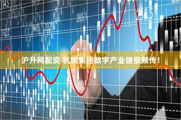 沪升网配资 杭钢集团数字产业捷报频传！